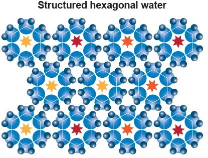 Eau structurée et dynamisée