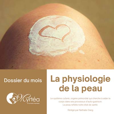 Dossier du mois Avril 2022-Physiologie Peau